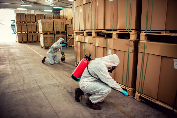 Best Pest Removal Services  in , IA