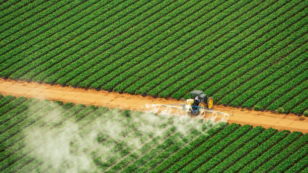 Best Best Pest Control Companies  in , IA