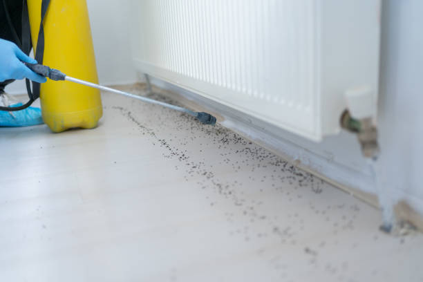 Best Pest Prevention Services  in , IA