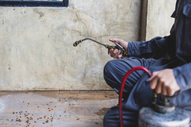 Best Pest Control Treatment  in , IA